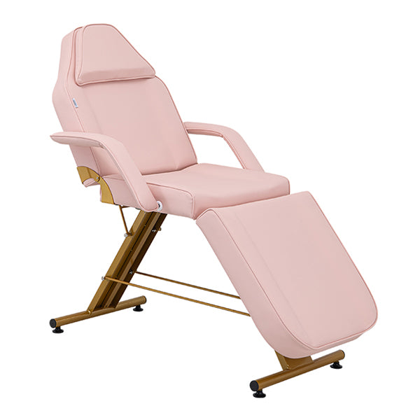 Cosmos Gold Pink ETA Mid September Elite Salon Supplies