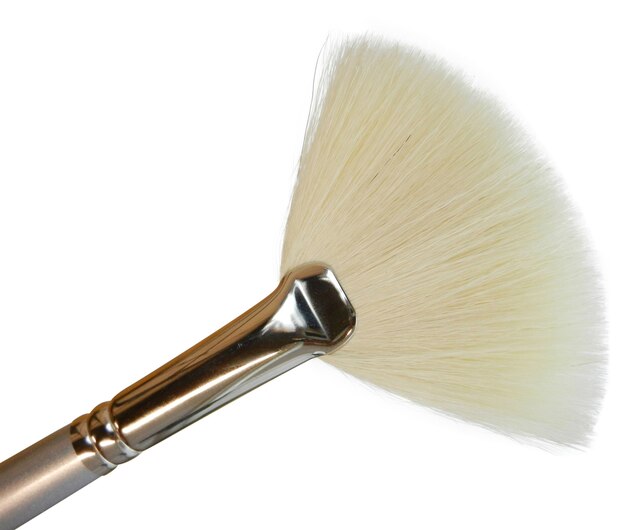 Dermafix Fan Brush