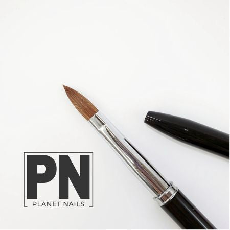 Acrylic Brush - Planet Nails Master Kolinsky - Flat #8